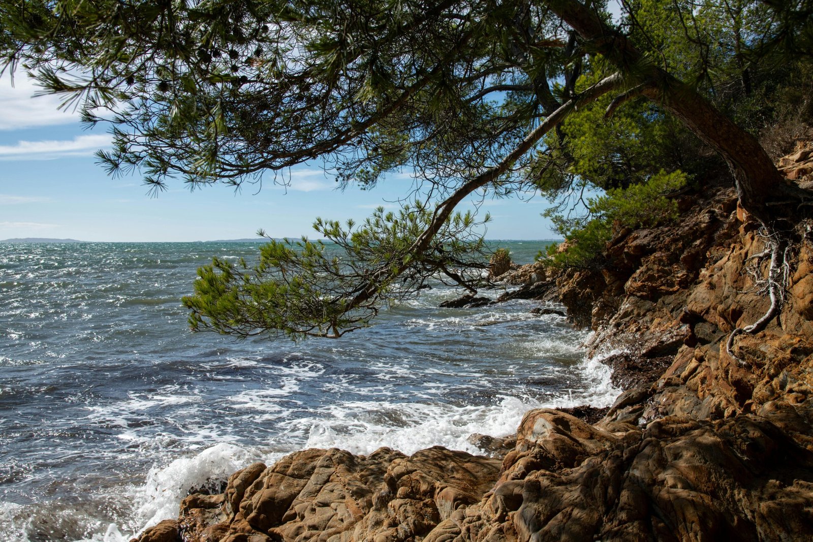 allowed to be curious